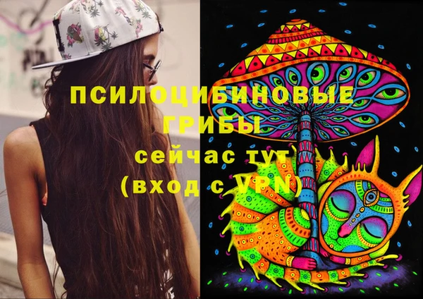 mdpv Кукмор