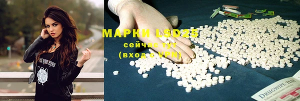 тгк Краснослободск