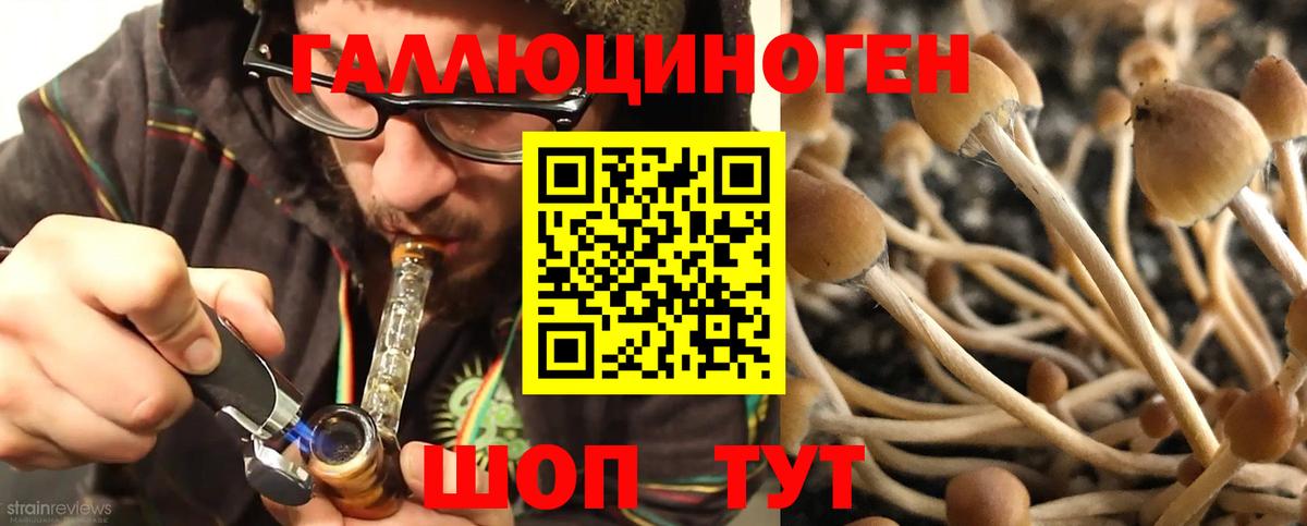 Псилоцибиновые грибы Psilocybe  Вход с VPN  наркота  Курчатов 